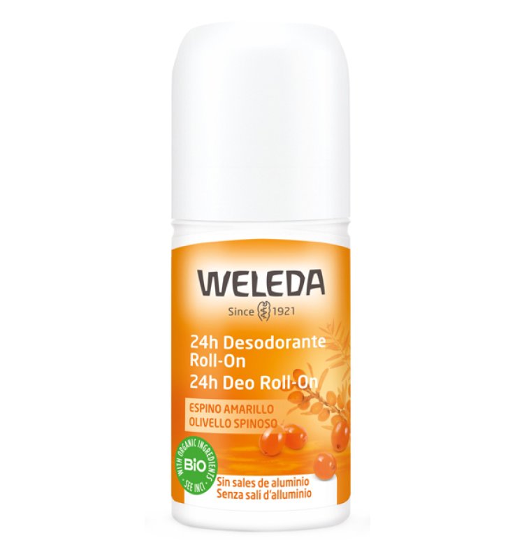 WELEDA 24H DEO ROLL-ON OLIVELLO WELEDA 24H DEO ROLL-ON OLIVELLO