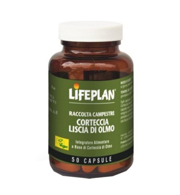 CORTECCIA Liscia Olmo 50 Cps