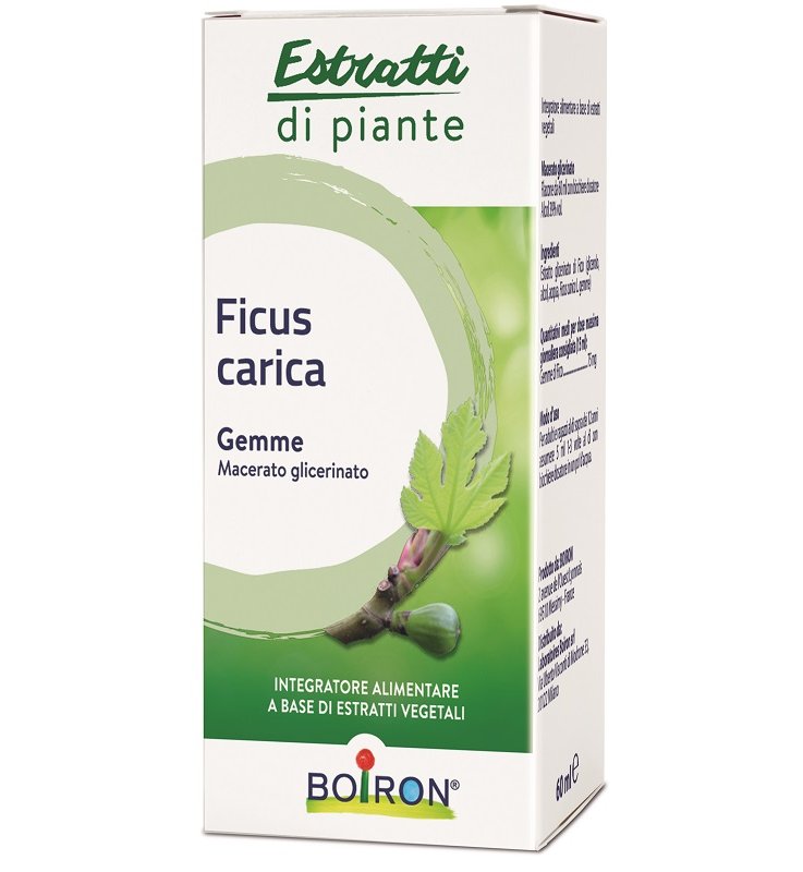 FICUS CARICA GEMME MACERATO GLICERINATO 60 ML INT FICUS CARICA GEMME MACERATO GLICERINATO 60 ML INT