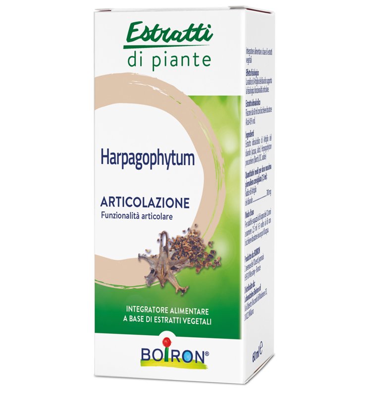 BO.HARPAGOPHYTUM EI 60ml