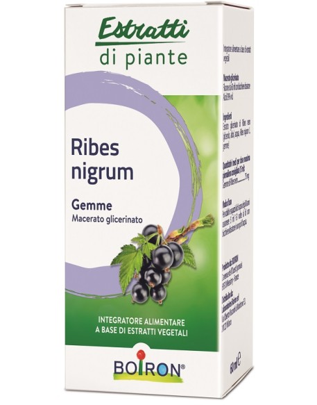 RIBES NIGRUM MG 60ML INT BO