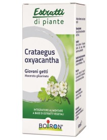 CRATAEGUS OXYACANTHA MACERATO GLICERICO 60 ML INT