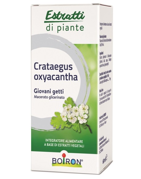 CRATAEGUS OXYACANTHA MACERATO GLICERICO 60 ML INT