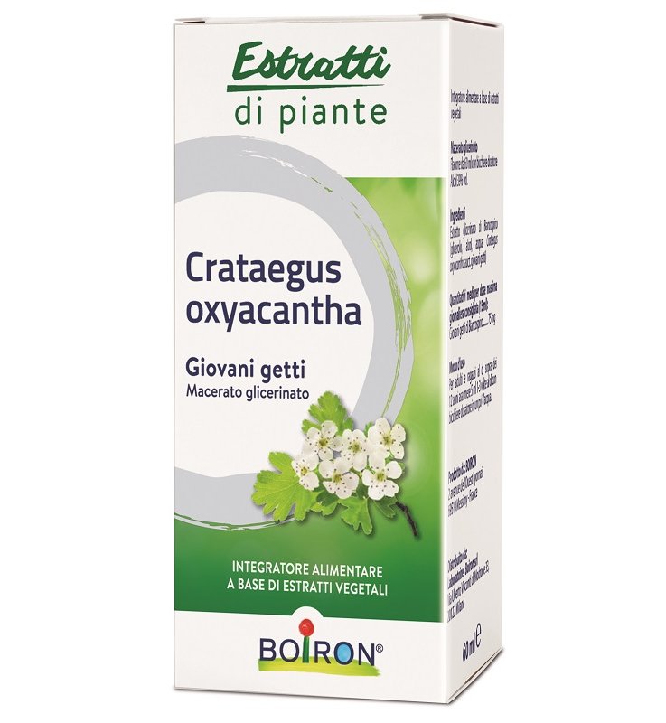 CRATAEGUS OXYACANTHA MACERATO GLICERICO 60 ML INT