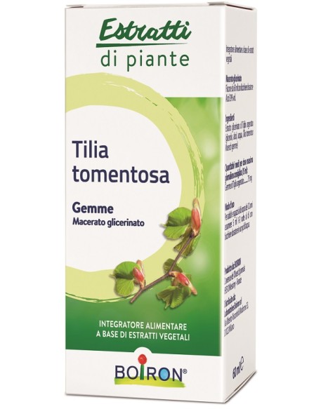 TILIA TOMENTOSA MACERATO GLICERICO 60 ML INT