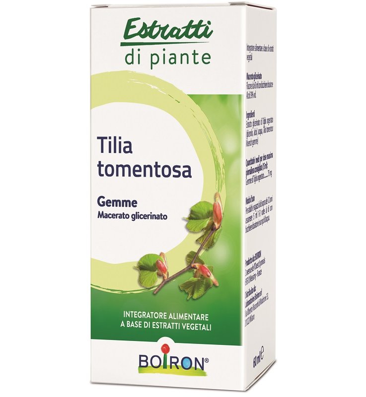 TILIA TOMENTOSA MACERATO GLICERICO 60 ML INT TILIA TOMENTOSA MACERATO GLICERICO 60 ML INT