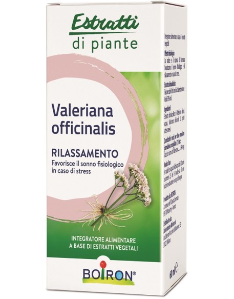 VALERIANA OFFICINALIS ESTRATTO IDROALCOLICO 60 ML INT