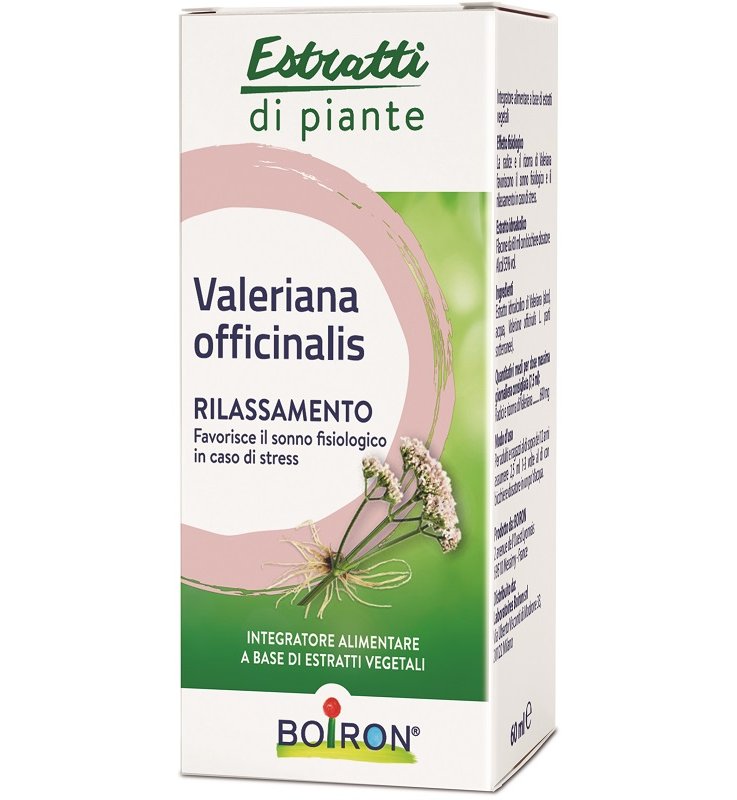 VALERIANA OFFICINALIS ESTRATTO IDROALCOLICO 60 ML INT