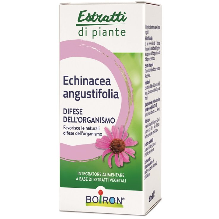 ECHINACEA ANGUSTIFOLIA ESTRATTO IDROALCOLICO 60 ML INT ECHINACEA ANGUSTIFOLIA ESTRATTO IDROALCOLICO 60 ML INT