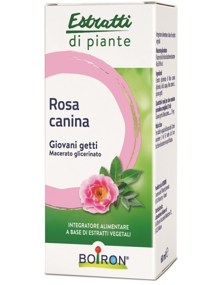 ROSA CANINA MACERATO GLICERICO 60 ML INT