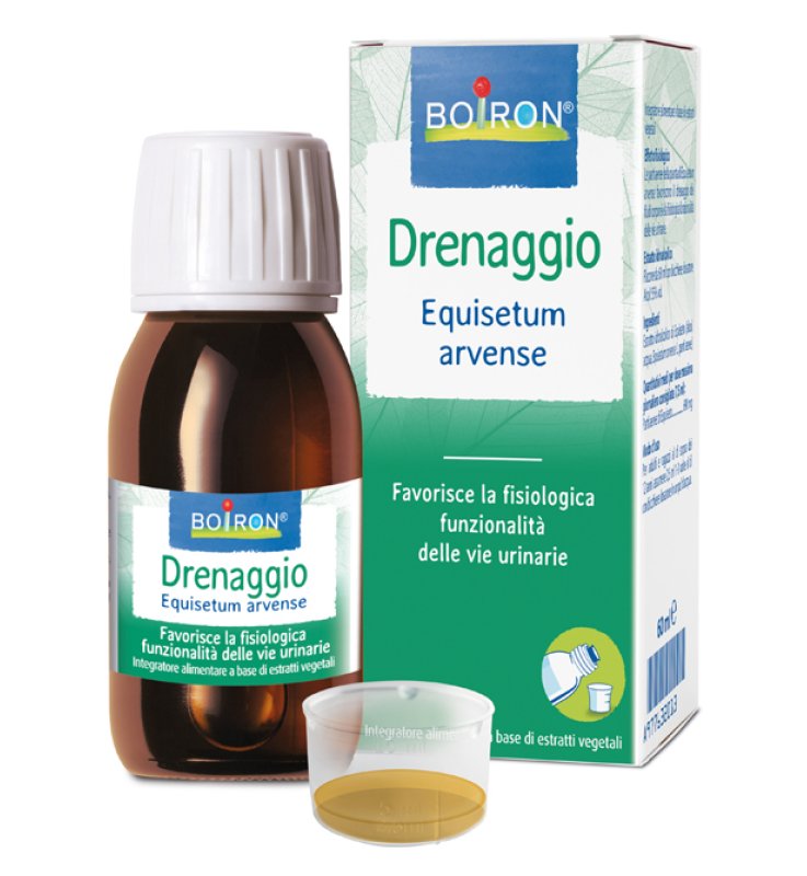 EQUISETUM ARV EI 60ML INT BO