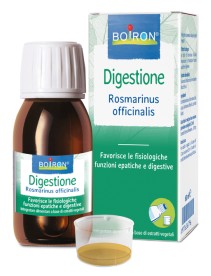 ROSMARINUS OFF EI INT 60ML BOIRO