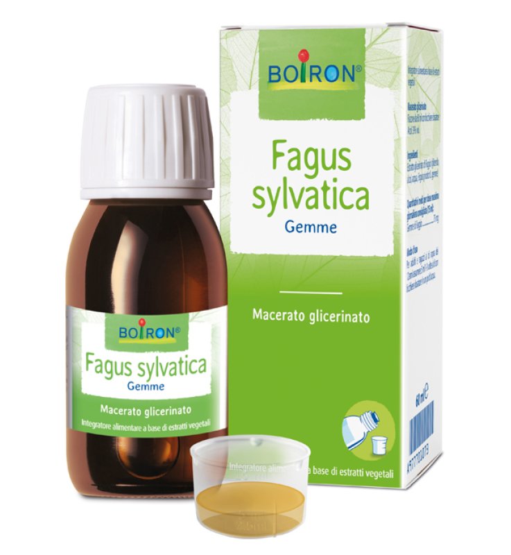 BO.FAGUS SYLVATICA MG 60ml.