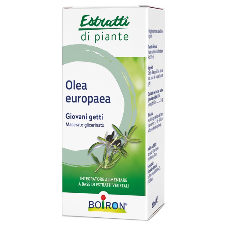 OLEA EUROPAEA MACERATO GLICERICO 60 ML INT OLEA EUROPAEA MACERATO GLICERICO 60 ML INT