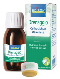 ORTHOSIPHON STA EI 60ML INT BO