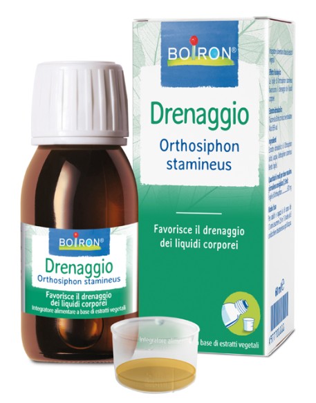 ORTHOSIPHON STA EI 60ML INT BO