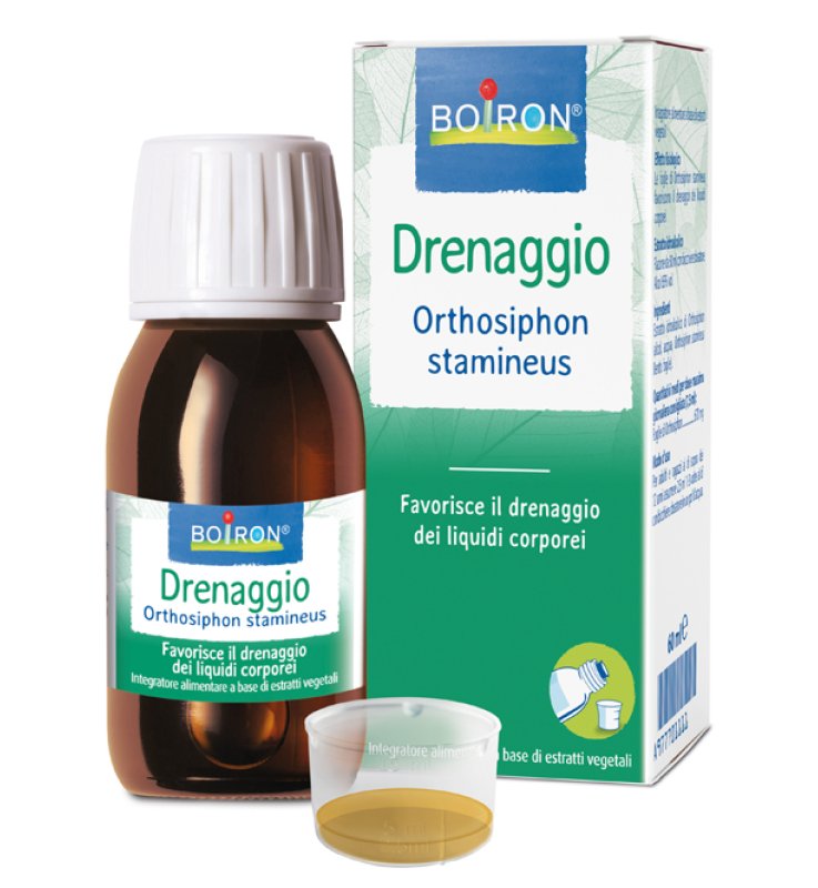 ORTHOSIPHON STA EI 60ML INT BO