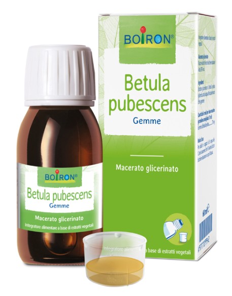 BETULA PUBESCENS MG 60ML INT BO