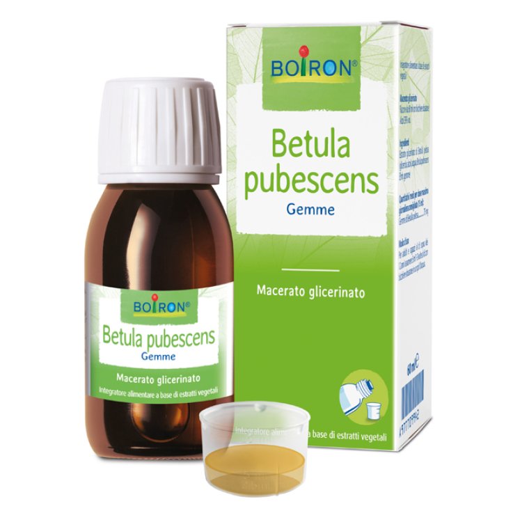 BETULA PUBESCENS MG 60ML INT BO BETULA PUBESCENS MG 60ML INT BO