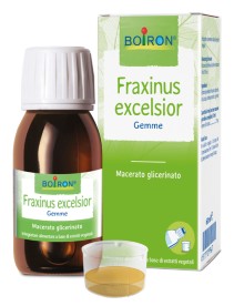 FRAXINUS EXCELSIOR MACERATO GLICERICO 60 ML INT