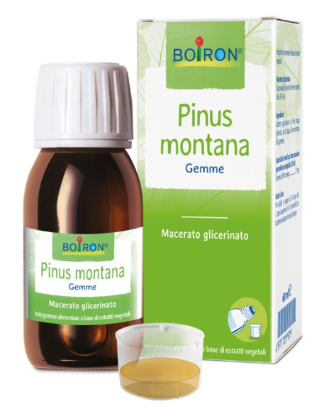 PINUS MONTANA MG 60ML INT BO