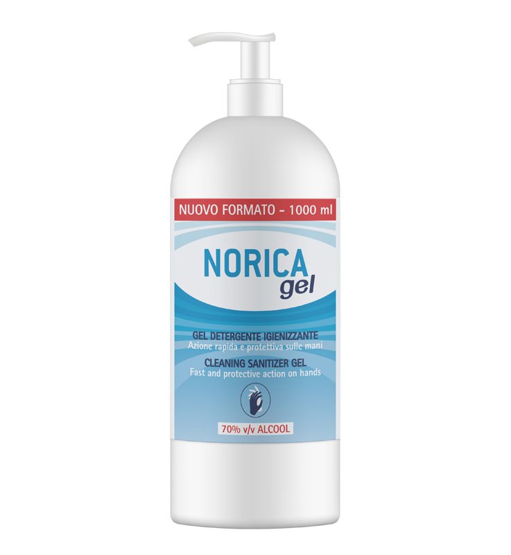 NORICA Gel Det.Igienizz.1000ml