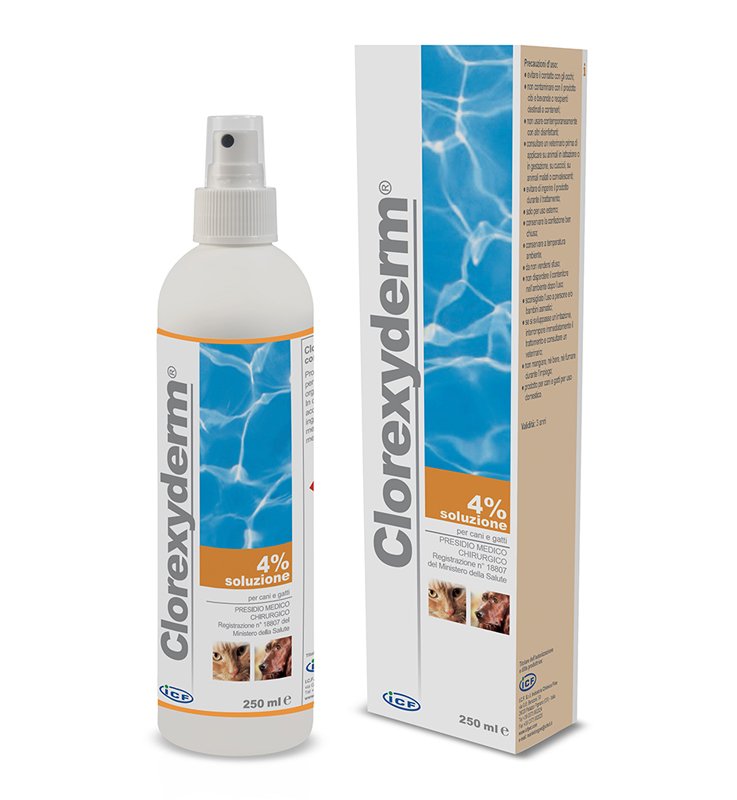 CLOREXYDERM SOLUZIONE 4% 250 ML
