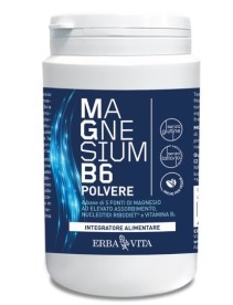 MAGNESIUM B6 Polv.200g     EBV