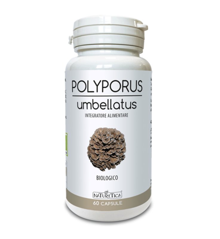POLYPORUS UMBELLATUS 60CPS