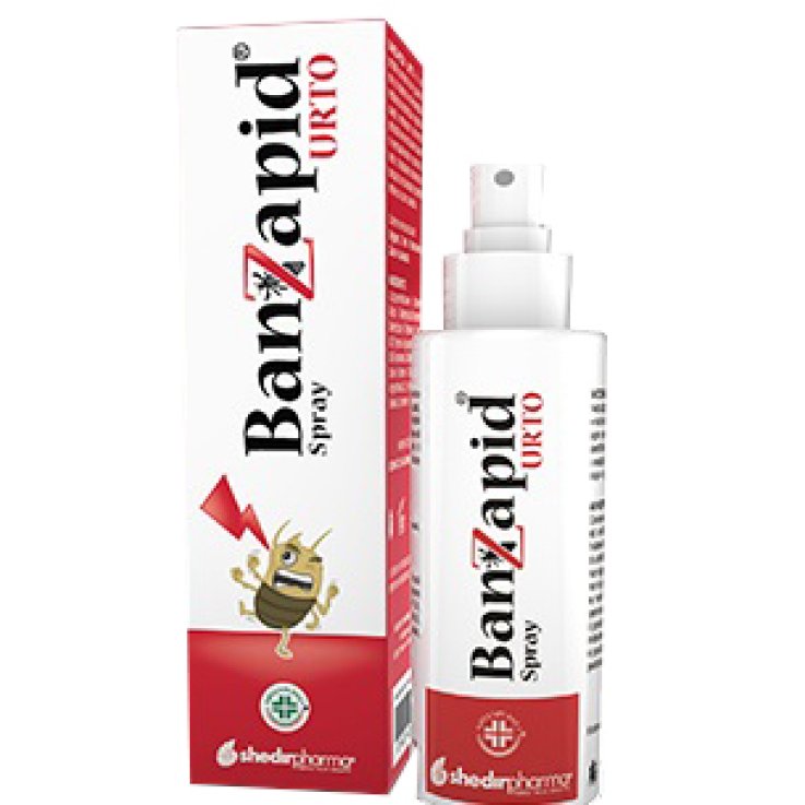 BANZAPID SPR TRATTAMENTO 100ML BANZAPID SPR TRATTAMENTO 100ML