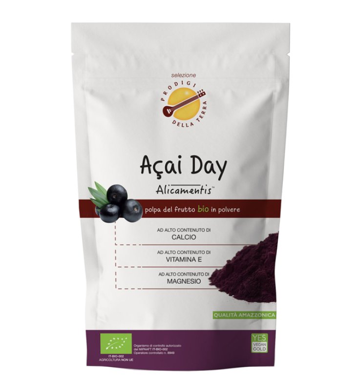 SITAR ACAI DAY BIO 100G(FRUTTO D