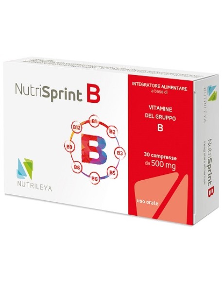 NUTRISPRINT B 30CPR