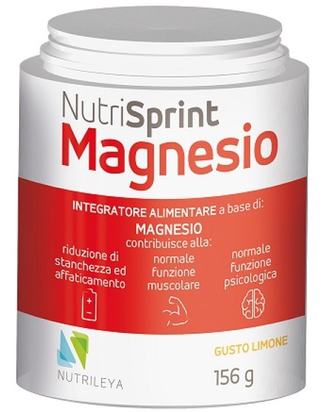 NUTRISPRINT MAGNESIO POLVERE 156 G