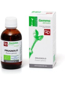 PRUGNOLO MG BIO 50ML