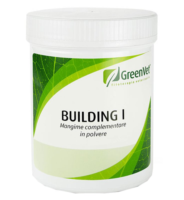 V BUILDING I POLVERE 500GR APACT