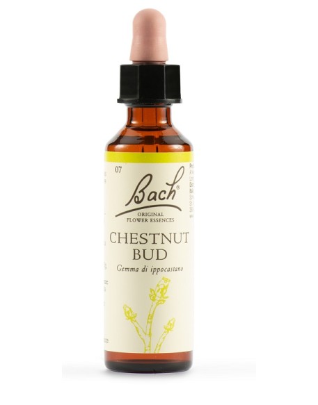 BACH CHESTNUT BUD ORIG 20ML