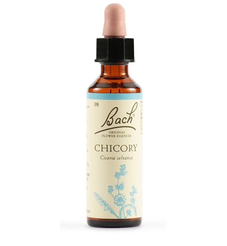 CHICORY BACH ORIG 20 ML