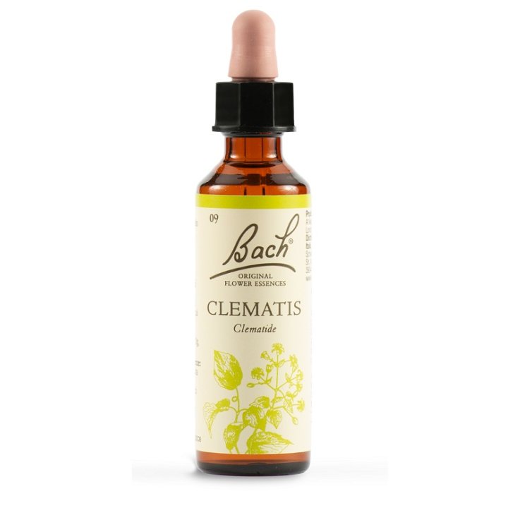 CLEMATIS BACH ORIG 20 ML CLEMATIS BACH ORIG 20 ML