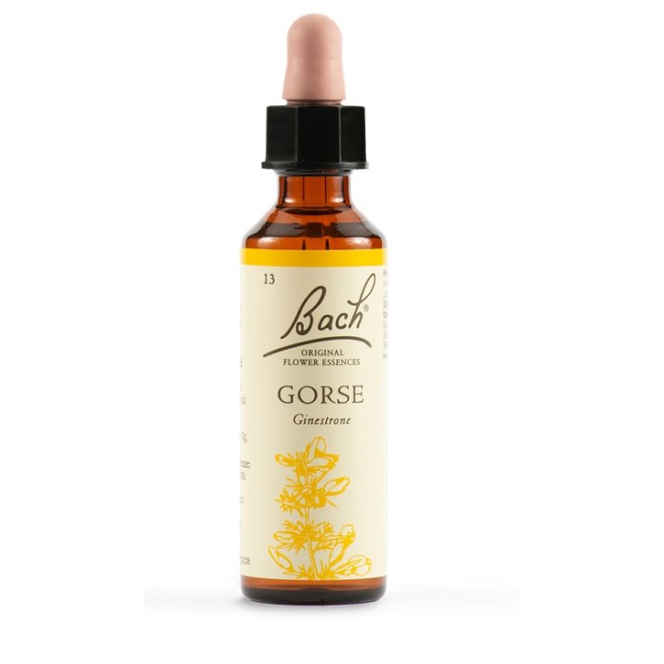 GORSE BACH ORIG 13 20ml GORSE BACH ORIG 13 20ml
