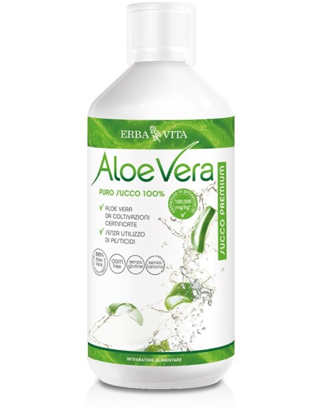 ALOE VERA Succo 100%1Lt    EBV