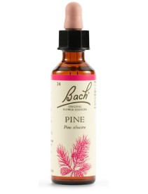 PINE BACH ORIG 20ML