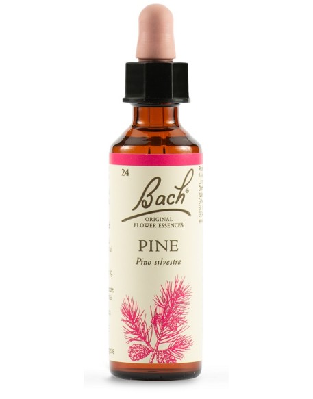 PINE BACH ORIG 20ML