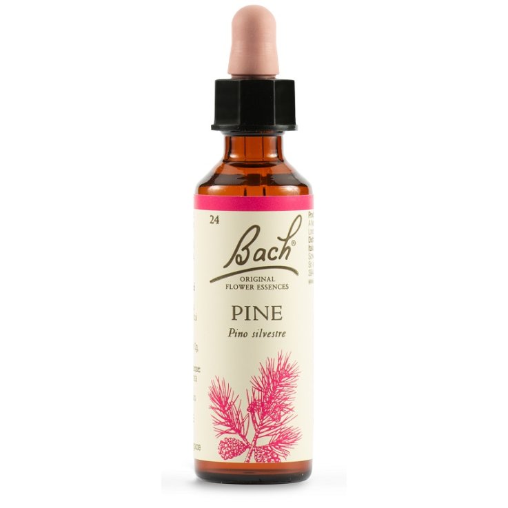 PINE BACH ORIG 20ML PINE BACH ORIG 20ML