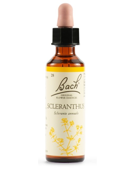 SCLERANTUS BACH ORIG 20 ML