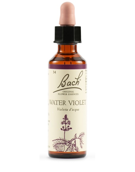 BACH 34 Water Violet 20ml LKR