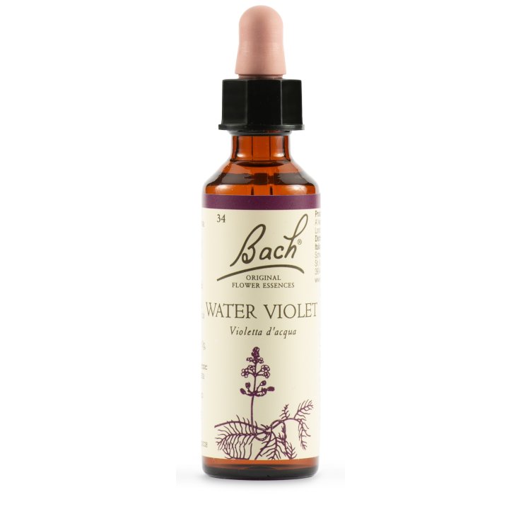 BACH 34 Water Violet 20ml LKR BACH 34 Water Violet 20ml LKR