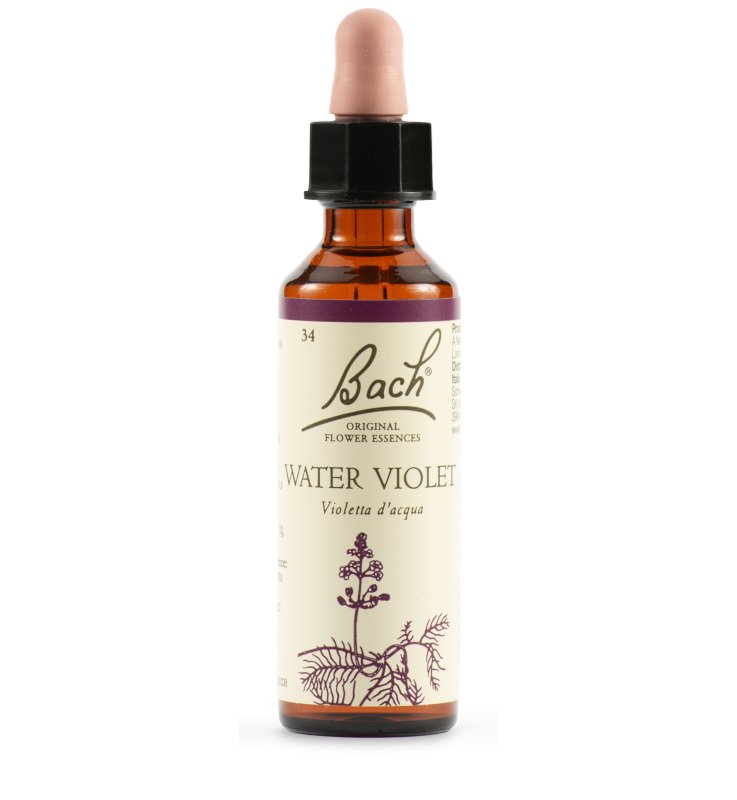 BACH 34 Water Violet 20ml LKR BACH 34 Water Violet 20ml LKR