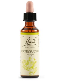 BACH 16 Honey Suckle 20ml LKR