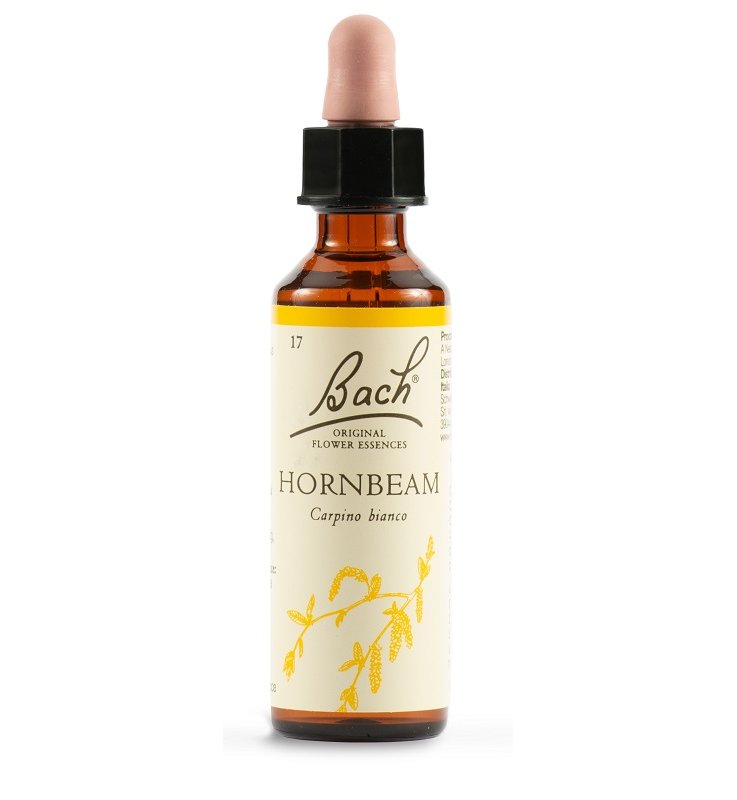HORNBEAM BACH ORIG 20 ML