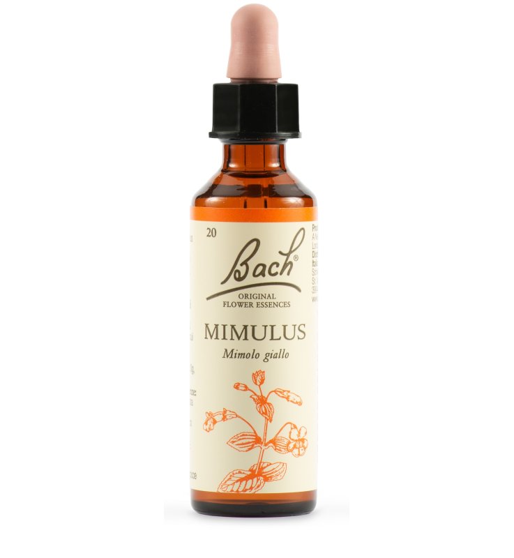 MIMULUS BACH ORIG 20 ML MIMULUS BACH ORIG 20 ML